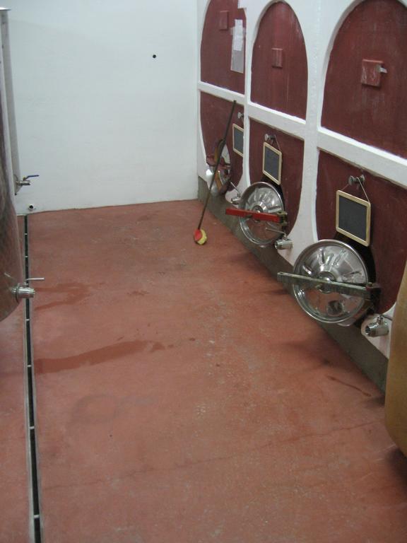 סן ג'אקומו Agriturismo Cascina Tollu מראה חיצוני תמונה