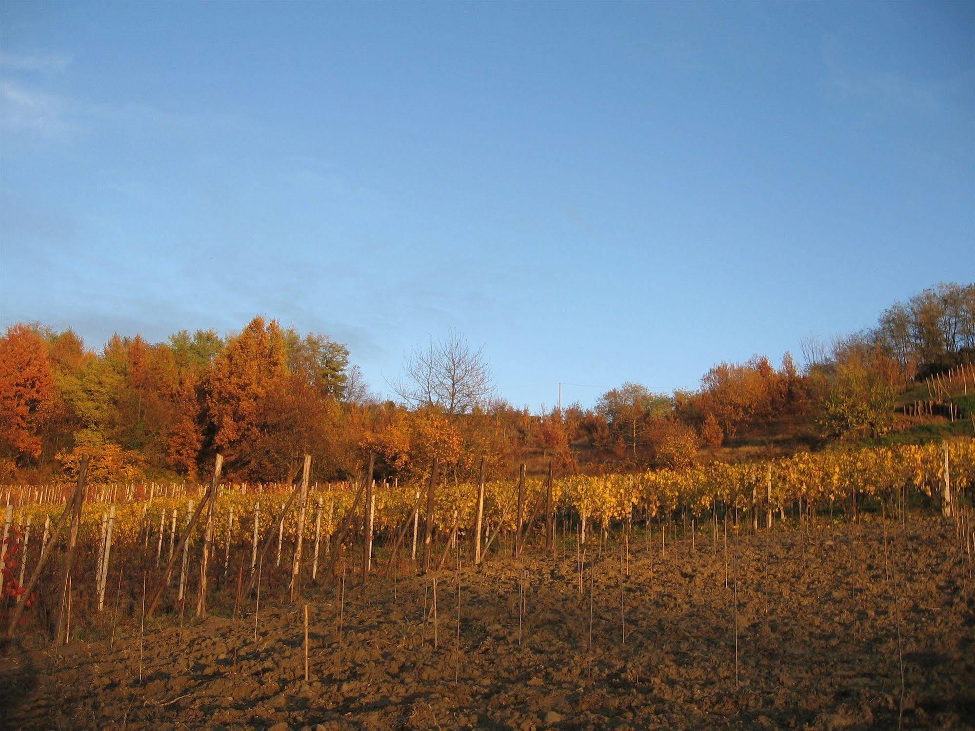 סן ג'אקומו Agriturismo Cascina Tollu מראה חיצוני תמונה