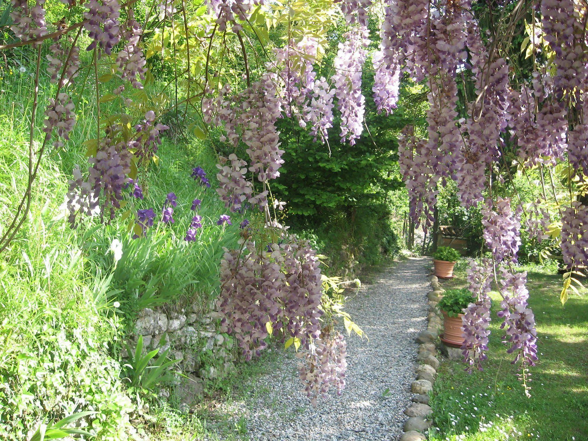סן ג'אקומו Agriturismo Cascina Tollu מראה חיצוני תמונה